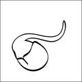 Soya bean sprout asian cuisine outline black white vector sign icon. Monochrome hand drawn vegetable symbol.