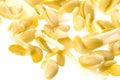 Soya Bean Sprouts Royalty Free Stock Photo