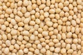 Soya beans Royalty Free Stock Photo