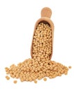 Soya Beans Royalty Free Stock Photo