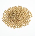 Soya beans Royalty Free Stock Photo