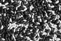 Soya beans close-up in black and white Royalty Free Stock Photo