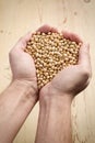 Soya beans in hands