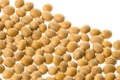 Soya Beans Isolated Royalty Free Stock Photo