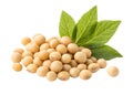 Soya beans isolated on white background Royalty Free Stock Photo
