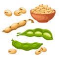 soya food bean set cartoon vector illustration Royalty Free Stock Photo