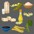 Soya food products set, milk, oil, sauce, tofu, bean, flour, meat, healthy diet, organic vegetarian food vector Royalty Free Stock Photo