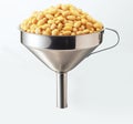 Soya funnel Royalty Free Stock Photo