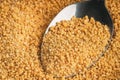 Soya Lecithin Granules and spoon, macro photo. Vitamin and dietary supplements. Healthy nutrition concept