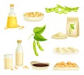 Soya Product with Soybean, Soy Sauce and Tofu from Edible Legume Plant Vector Set Royalty Free Stock Photo