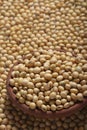 Soyabean - a legume often used like vegetable. Royalty Free Stock Photo