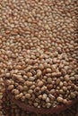 Soyabean - a legume often used like vegetable.