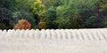 Soybean crop in late fall ready for harvest banner panoramic Royalty Free Stock Photo
