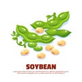 Soybean Design Composition