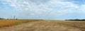 Soybean field in autumn harvest time Royalty Free Stock Photo