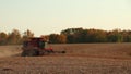 Soybean Field with Red Combine Harvester Royalty Free Stock Photo