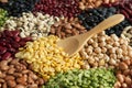 Soybean grains legumes and nuts seed