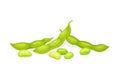 Soybean in Green Pod as Edible Seed of Legume Plant Vector Illustration Royalty Free Stock Photo