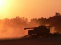 Soybean Harvest Royalty Free Stock Photo