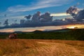 Soybean harvest