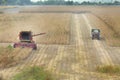 Soybean harvest Royalty Free Stock Photo