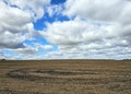 Soybean harvest left behind under blue cloudy sky