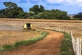 Soybean harvesting