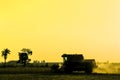 Soybean harvesting seasson with combine