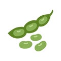Soybean icon. Soy plant beans with green pods. Raw soy