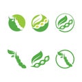 Soybean Logo vector template design. Healthy Food simple vector illustration