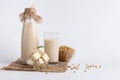 Soybean milk, tofu cheese and beans on white background Royalty Free Stock Photo