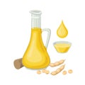 Soybean oil in glass bottle, soy beans pod, drop of oil and bowl with soybean oil. Soybean products - vector illustration isolated Royalty Free Stock Photo