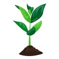 Soybean plant in ground icon, cartoon style