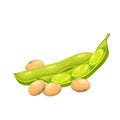Soybean pods with beans icon