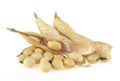 Soybean pods and beans on white background. Dried soya beans Royalty Free Stock Photo