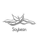 Soybean pods, edamame beans outline icon