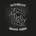 Soybean poster, chalkboard