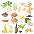 Soybean products, food from soya beans - set of vector illustrations, icons isolated on white background