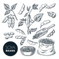 Soybean sketch vector illustration. Soya beens, pod on green plant, seeds in sack. Hand drawn isolated design elements Royalty Free Stock Photo