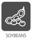 A Soybean Soy Bean Food Allergen Icon Concept Royalty Free Stock Photo