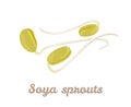 Soybean sprout icon isolated on white background. Vector illustration of vegetable grown by sprouting soybeans