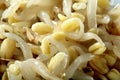 Soybean sprouts with oil macro