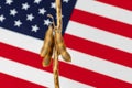 Soybean pod and plant by United States of America flag