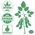 Soybean