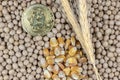 Soybean, wheat and corn seeds with golden bitcoin, concept of agricultural commodities