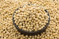 Soybean Royalty Free Stock Photo