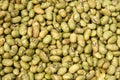 Soybeans Royalty Free Stock Photo