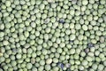 Soybeans Royalty Free Stock Photo