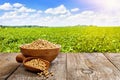 soybeans in ceramic bowl and wooden scoop on table with green field as background