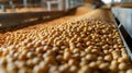Soybeans on Conveyor Belt in Processing Plant During Daytime Royalty Free Stock Photo